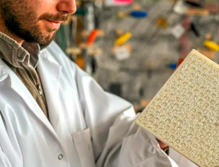 Scientifiques en blouse avec une plaque d'échantillon dans la main